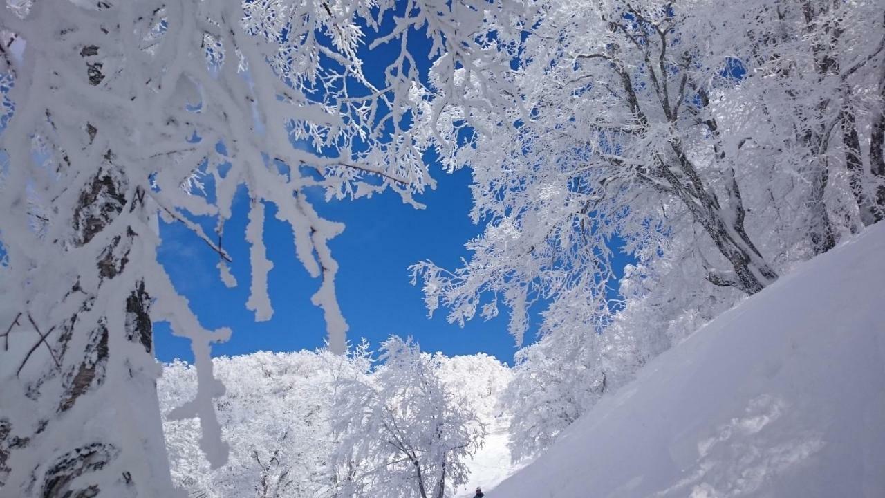 Nozawa Dream Central Bagian luar foto