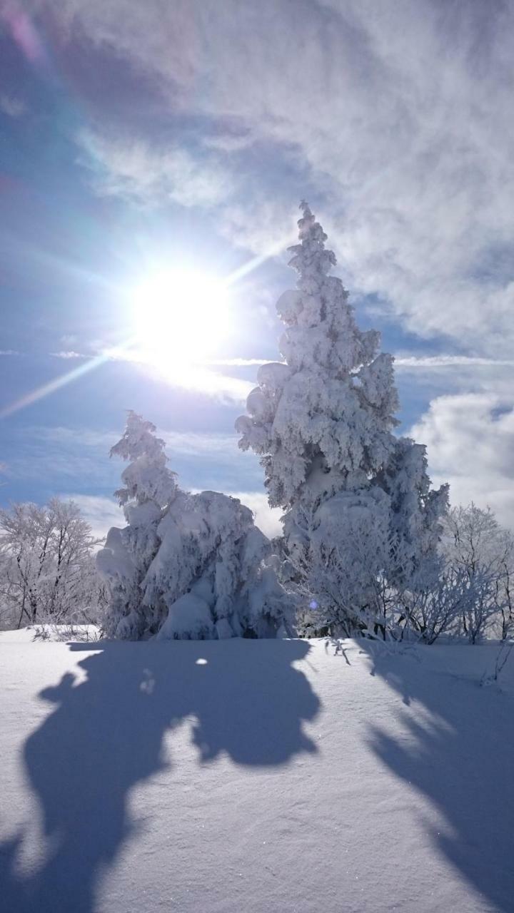 Nozawa Dream Central Bagian luar foto